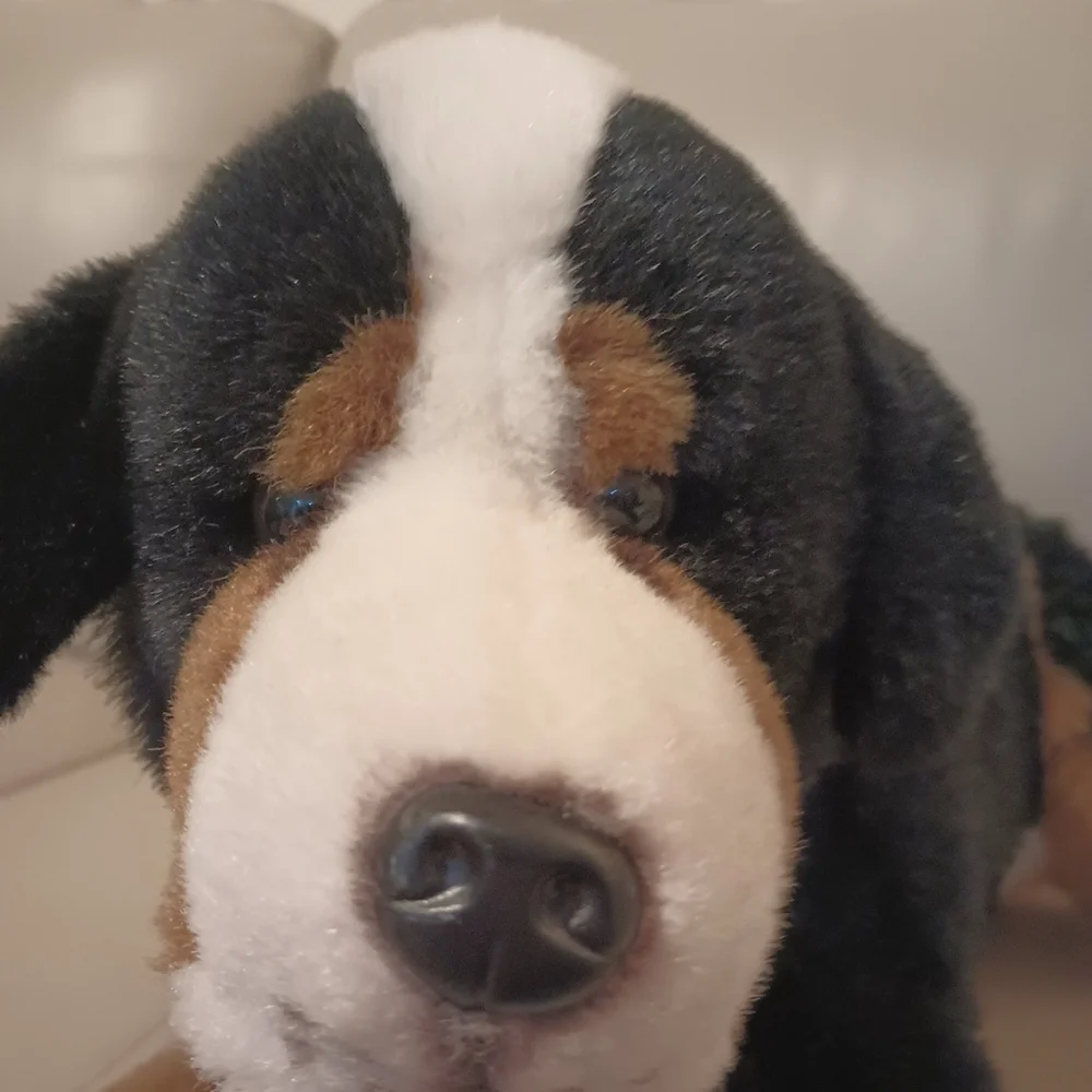 Vintage E & J  Classic Collection Bernese Mountain Dog Stuffed Plush M/L - Picture 4 of 16